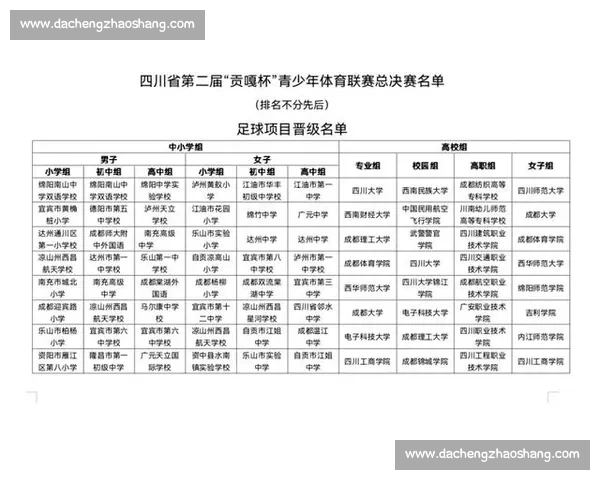 全面解析大型体育赛事从筹备到赛后总结的完整流程与管理体系